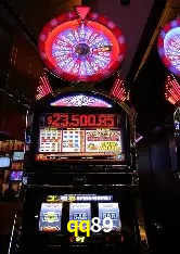 qq89 Brasília - Betting Features